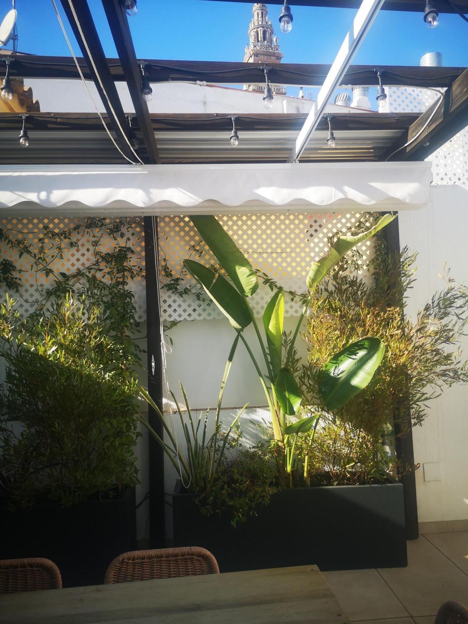 דירות סביליה Duplex Luxury Giralda With Terrace מראה חיצוני תמונה
